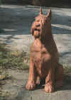 art_statua schnauzer.jpg (71786 byte)