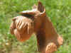 art_testa_terracotta.jpg (24780 byte)