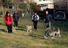 fandango in visita 8.jpg (1386574 byte)