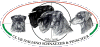 logocispmedio.gif (63894 byte)